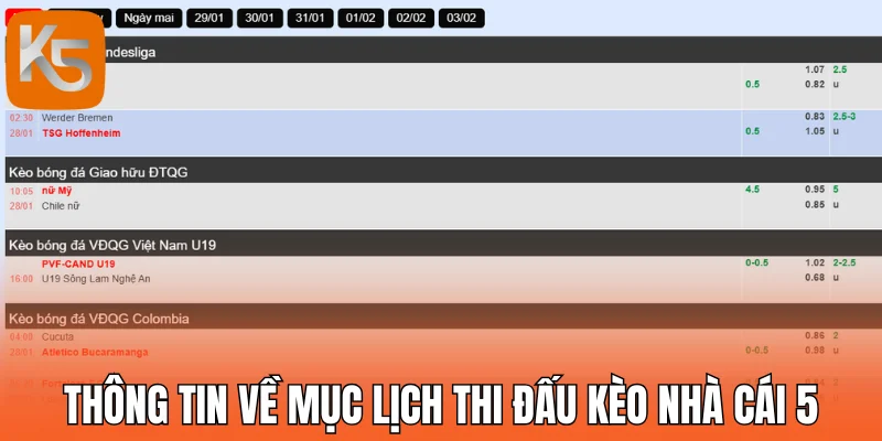 Thông tin về mục lịch thi đấu kèo nhà cái 5