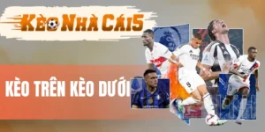 So sánh cửa trên và cửa dưới, anh em nên tham khảo