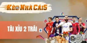 Chú ý tỷ lệ kèo khi đặt cược