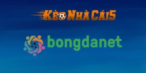 Bongdanet - Tập hợp kiến thức kèo nhà cái từ cao thủ