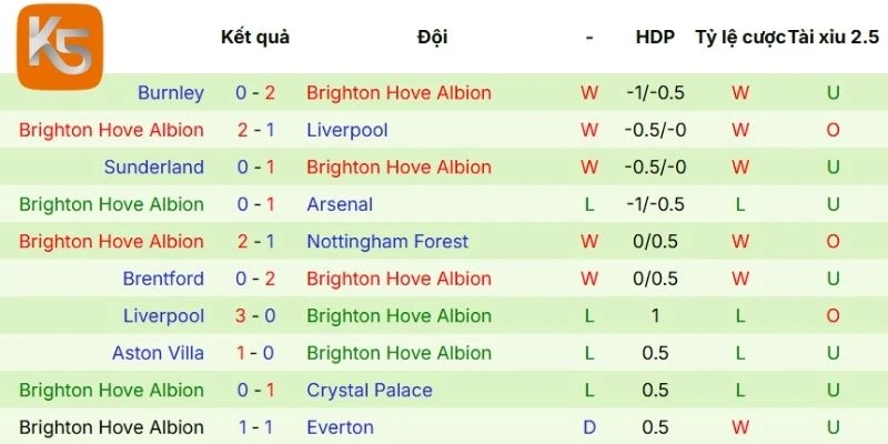 Thành tích mới nhất của Brighton