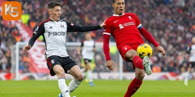 Tình hình tuyển Tình hình Liverpool vs Fulham